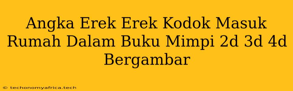 Angka Erek Erek Kodok Masuk Rumah Dalam Buku Mimpi 2d 3d 4d Bergambar