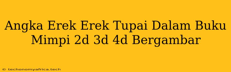 Angka Erek Erek Tupai Dalam Buku Mimpi 2d 3d 4d Bergambar