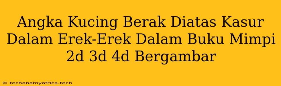 Angka Kucing Berak Diatas Kasur Dalam Erek-Erek Dalam Buku Mimpi 2d 3d 4d Bergambar