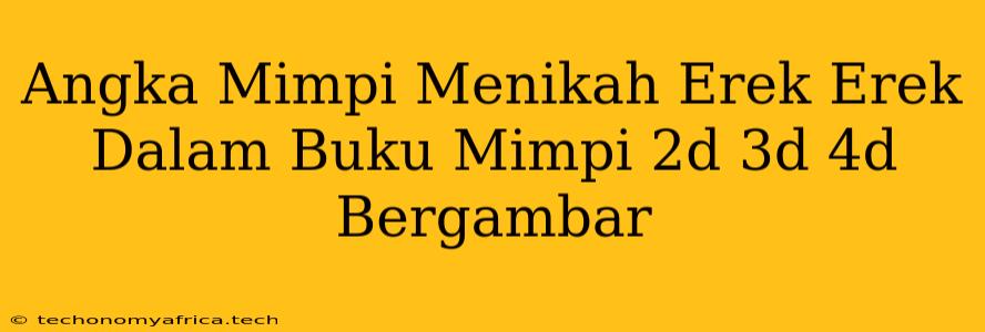 Angka Mimpi Menikah Erek Erek Dalam Buku Mimpi 2d 3d 4d Bergambar