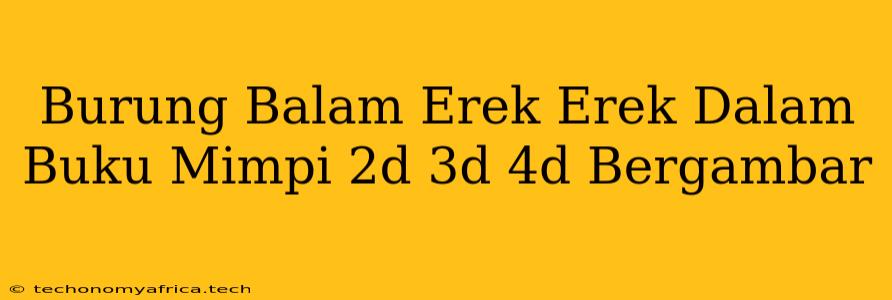 Burung Balam Erek Erek Dalam Buku Mimpi 2d 3d 4d Bergambar