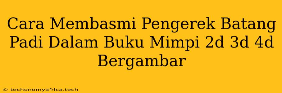 Cara Membasmi Pengerek Batang Padi Dalam Buku Mimpi 2d 3d 4d Bergambar