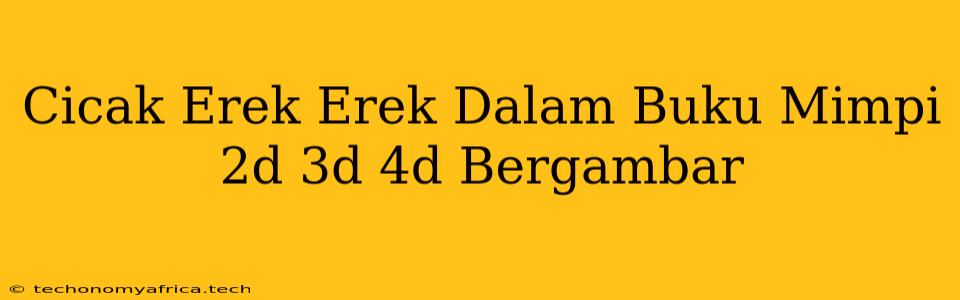 Cicak Erek Erek Dalam Buku Mimpi 2d 3d 4d Bergambar