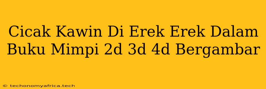 Cicak Kawin Di Erek Erek Dalam Buku Mimpi 2d 3d 4d Bergambar