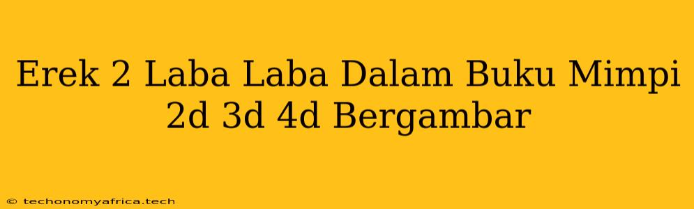 Erek 2 Laba Laba Dalam Buku Mimpi 2d 3d 4d Bergambar