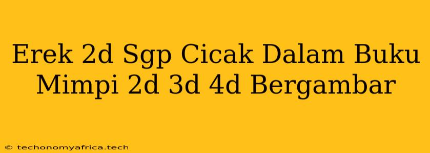 Erek 2d Sgp Cicak Dalam Buku Mimpi 2d 3d 4d Bergambar