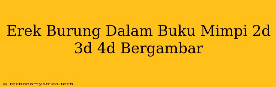 Erek Burung Dalam Buku Mimpi 2d 3d 4d Bergambar