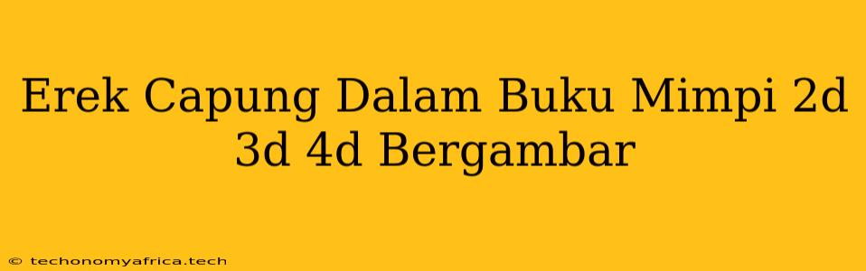 Erek Capung Dalam Buku Mimpi 2d 3d 4d Bergambar