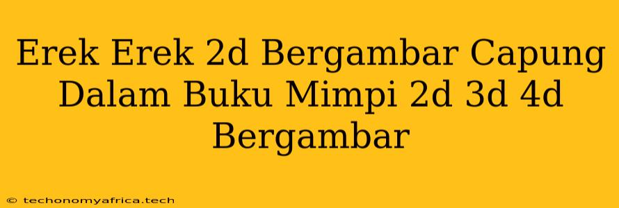 Erek Erek 2d Bergambar Capung Dalam Buku Mimpi 2d 3d 4d Bergambar