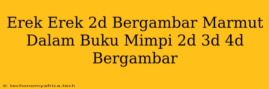 Erek Erek 2d Bergambar Marmut Dalam Buku Mimpi 2d 3d 4d Bergambar