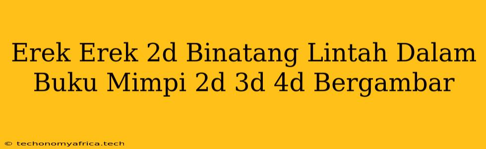 Erek Erek 2d Binatang Lintah Dalam Buku Mimpi 2d 3d 4d Bergambar