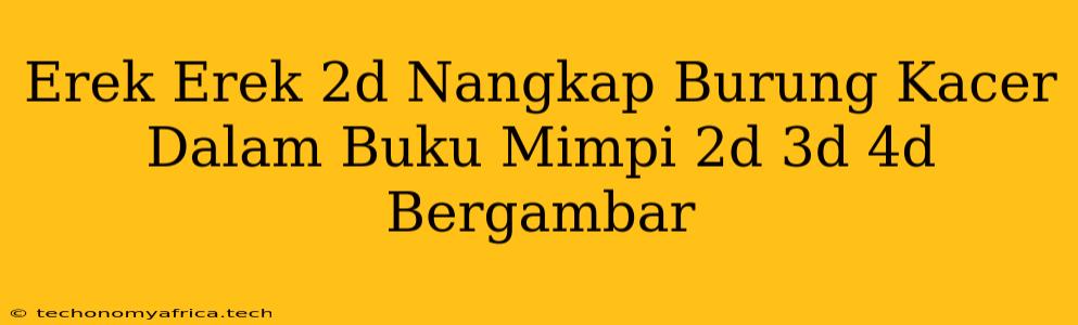 Erek Erek 2d Nangkap Burung Kacer Dalam Buku Mimpi 2d 3d 4d Bergambar