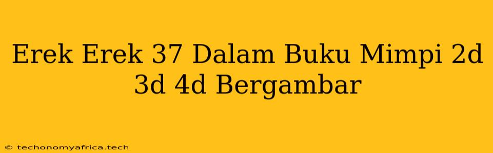 Erek Erek 37 Dalam Buku Mimpi 2d 3d 4d Bergambar