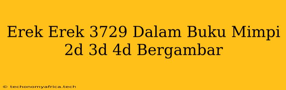 Erek Erek 3729 Dalam Buku Mimpi 2d 3d 4d Bergambar