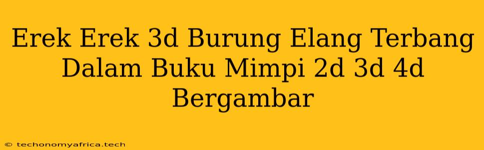 Erek Erek 3d Burung Elang Terbang Dalam Buku Mimpi 2d 3d 4d Bergambar