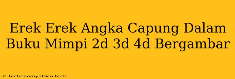 Erek Erek Angka Capung Dalam Buku Mimpi 2d 3d 4d Bergambar