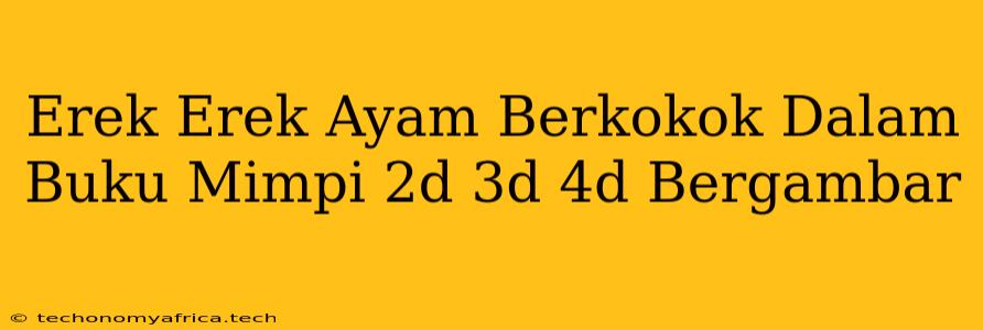 Erek Erek Ayam Berkokok Dalam Buku Mimpi 2d 3d 4d Bergambar