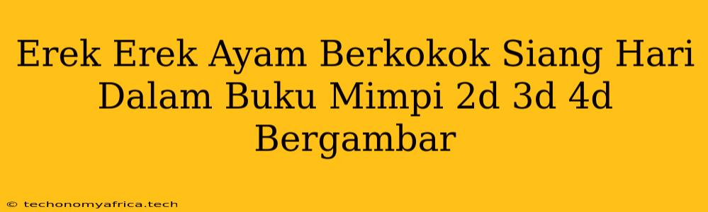 Erek Erek Ayam Berkokok Siang Hari Dalam Buku Mimpi 2d 3d 4d Bergambar