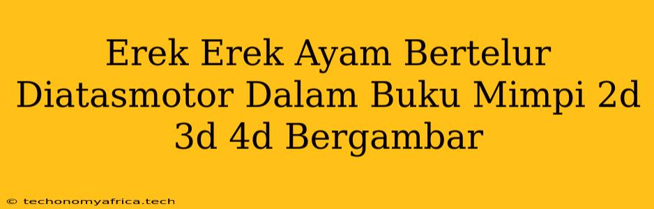 Erek Erek Ayam Bertelur Diatasmotor Dalam Buku Mimpi 2d 3d 4d Bergambar