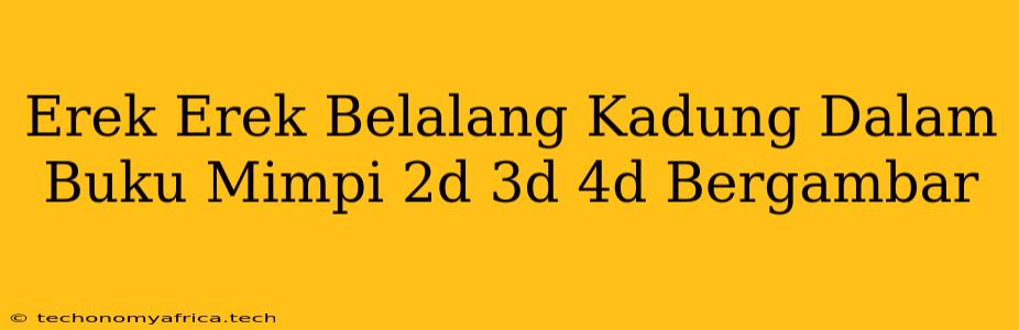 Erek Erek Belalang Kadung Dalam Buku Mimpi 2d 3d 4d Bergambar