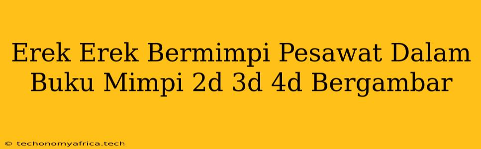 Erek Erek Bermimpi Pesawat Dalam Buku Mimpi 2d 3d 4d Bergambar