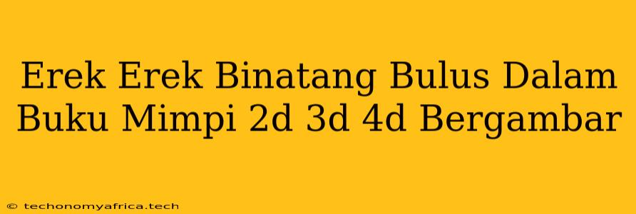 Erek Erek Binatang Bulus Dalam Buku Mimpi 2d 3d 4d Bergambar