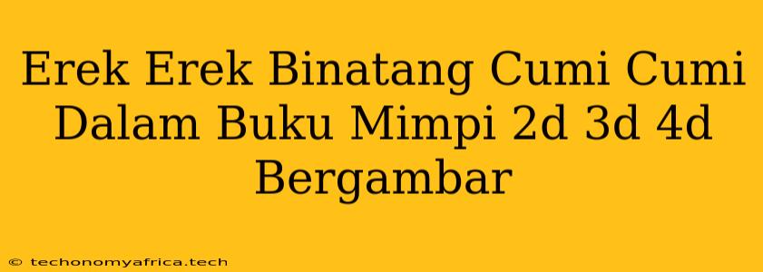 Erek Erek Binatang Cumi Cumi Dalam Buku Mimpi 2d 3d 4d Bergambar