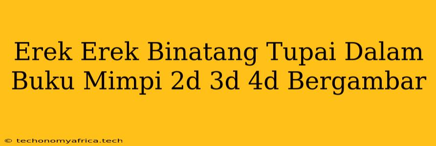 Erek Erek Binatang Tupai Dalam Buku Mimpi 2d 3d 4d Bergambar