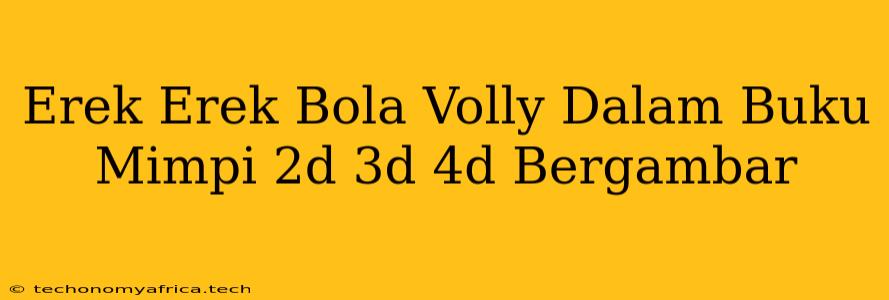 Erek Erek Bola Volly Dalam Buku Mimpi 2d 3d 4d Bergambar