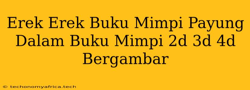 Erek Erek Buku Mimpi Payung Dalam Buku Mimpi 2d 3d 4d Bergambar