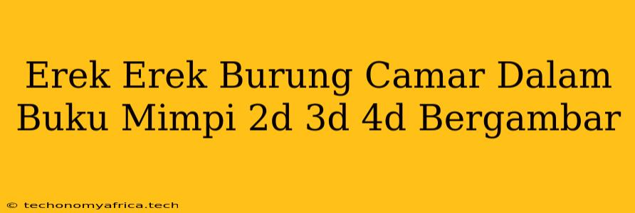 Erek Erek Burung Camar Dalam Buku Mimpi 2d 3d 4d Bergambar