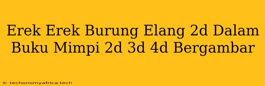 Erek Erek Burung Elang 2d Dalam Buku Mimpi 2d 3d 4d Bergambar