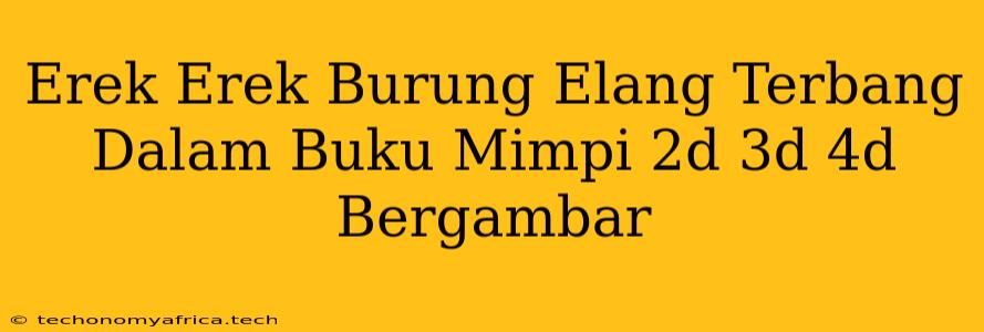 Erek Erek Burung Elang Terbang Dalam Buku Mimpi 2d 3d 4d Bergambar