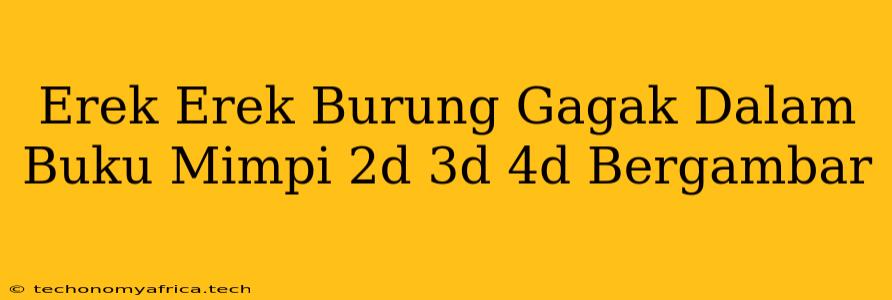 Erek Erek Burung Gagak Dalam Buku Mimpi 2d 3d 4d Bergambar