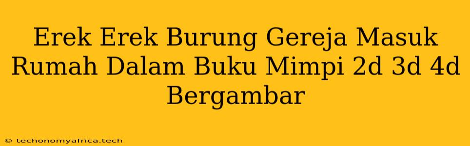 Erek Erek Burung Gereja Masuk Rumah Dalam Buku Mimpi 2d 3d 4d Bergambar