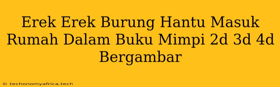 Erek Erek Burung Hantu Masuk Rumah Dalam Buku Mimpi 2d 3d 4d Bergambar