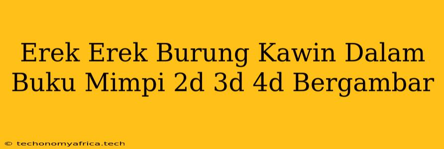 Erek Erek Burung Kawin Dalam Buku Mimpi 2d 3d 4d Bergambar