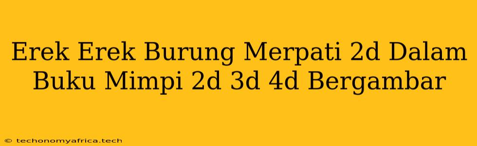 Erek Erek Burung Merpati 2d Dalam Buku Mimpi 2d 3d 4d Bergambar