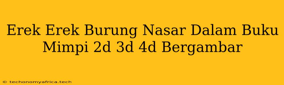 Erek Erek Burung Nasar Dalam Buku Mimpi 2d 3d 4d Bergambar