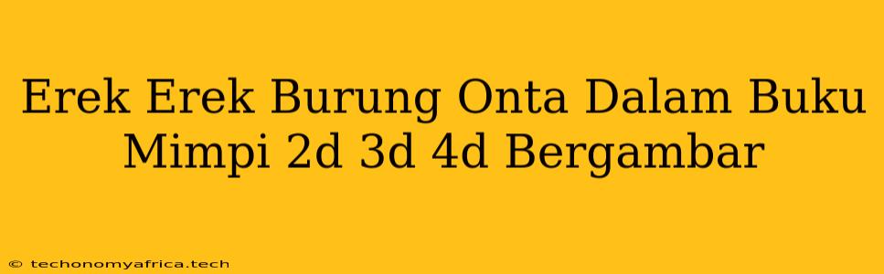 Erek Erek Burung Onta Dalam Buku Mimpi 2d 3d 4d Bergambar