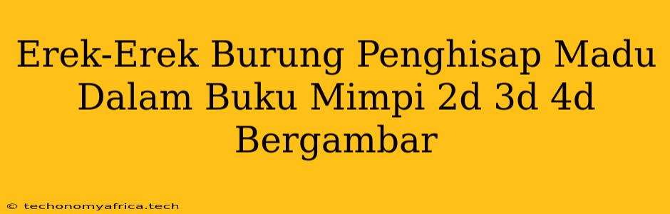 Erek-Erek Burung Penghisap Madu Dalam Buku Mimpi 2d 3d 4d Bergambar