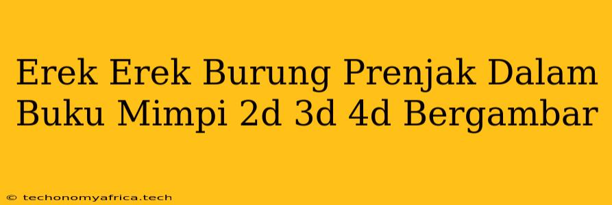 Erek Erek Burung Prenjak Dalam Buku Mimpi 2d 3d 4d Bergambar