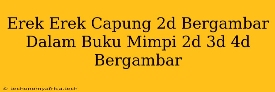 Erek Erek Capung 2d Bergambar Dalam Buku Mimpi 2d 3d 4d Bergambar