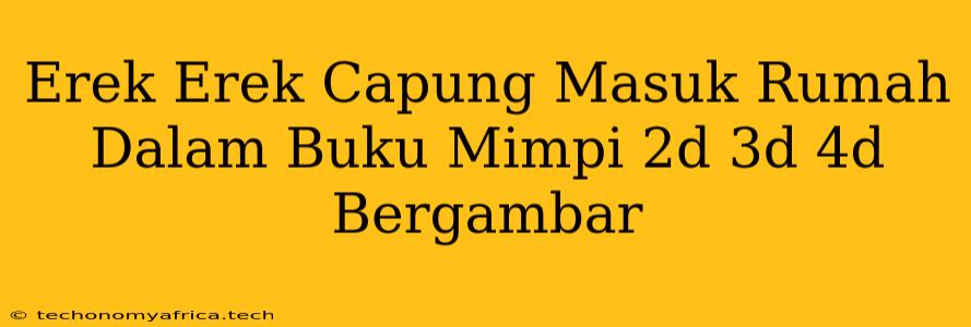 Erek Erek Capung Masuk Rumah Dalam Buku Mimpi 2d 3d 4d Bergambar