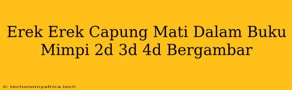 Erek Erek Capung Mati Dalam Buku Mimpi 2d 3d 4d Bergambar