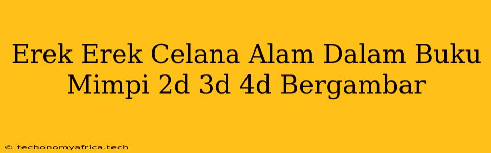 Erek Erek Celana Alam Dalam Buku Mimpi 2d 3d 4d Bergambar