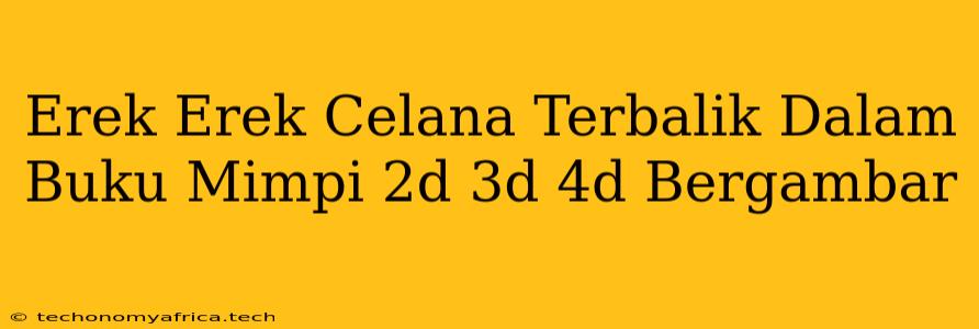 Erek Erek Celana Terbalik Dalam Buku Mimpi 2d 3d 4d Bergambar