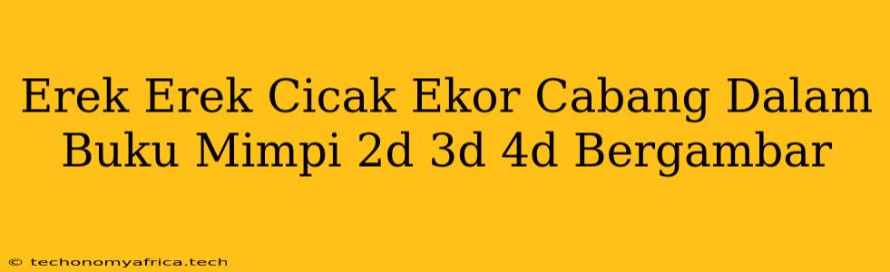 Erek Erek Cicak Ekor Cabang Dalam Buku Mimpi 2d 3d 4d Bergambar