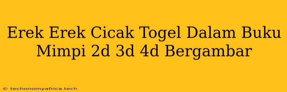 Erek Erek Cicak Togel Dalam Buku Mimpi 2d 3d 4d Bergambar