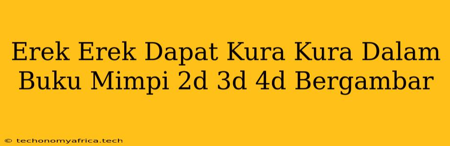 Erek Erek Dapat Kura Kura Dalam Buku Mimpi 2d 3d 4d Bergambar